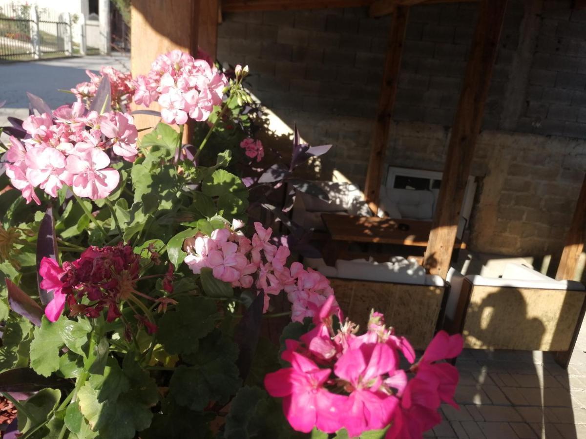 Apartamento Uzicki-Konaci Užice Exterior foto